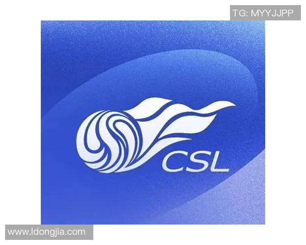 中超激战天津泰达迎战申花双方争夺季后赛名额的关键之战